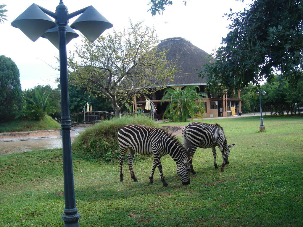 Kaazmein Lodge ลิฟวิงสโตน ภายนอก รูปภาพ
